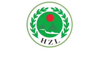 bnb钱包官网logo